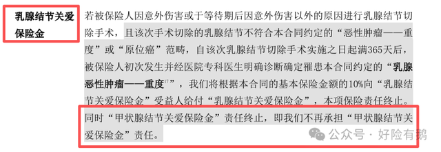 新上的互联网成人重疾，超级玛丽15号，达尔文12号，说三点