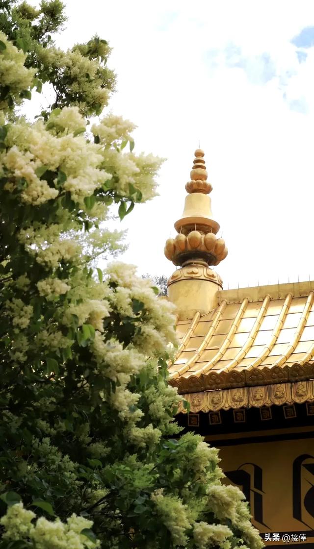 张传禄：塔尔寺游记