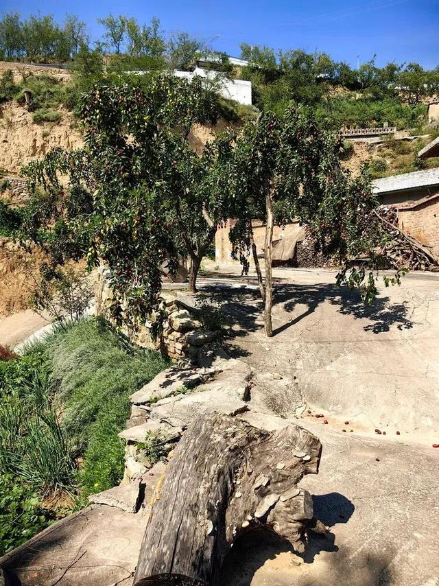 山西吕梁·临县尧昌里村