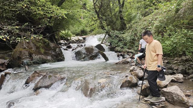 巴朗山盛夏行：把疲惫踩进大自然，让清风装满行囊​