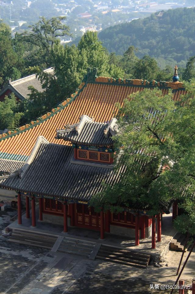 打卡香山寺，800年古松伴殿宇，10元超值！