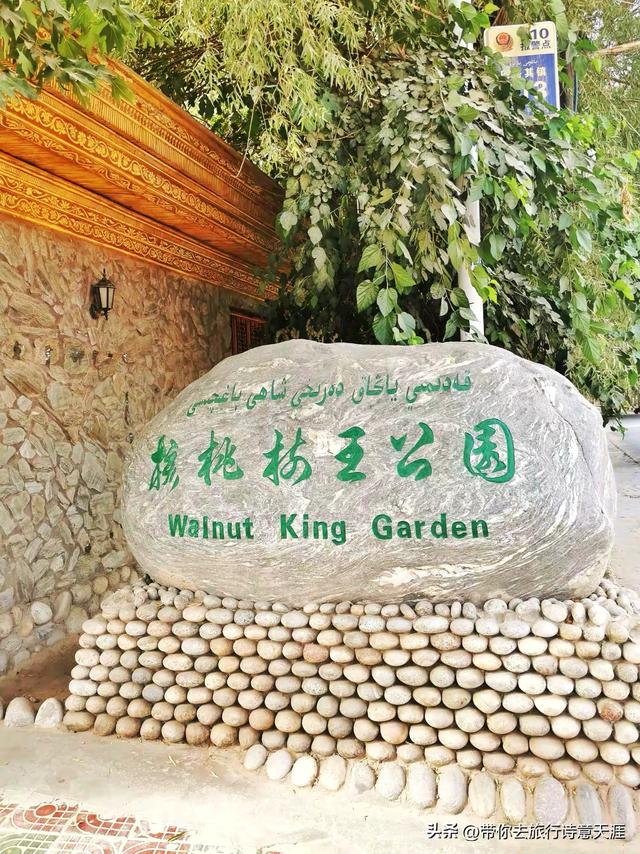 昆仑山上一棵草，昆仑山下核桃王