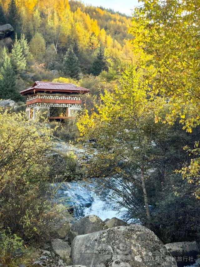 避开人潮，经典川西秋色10天行，人生必须要有的一场旅行！