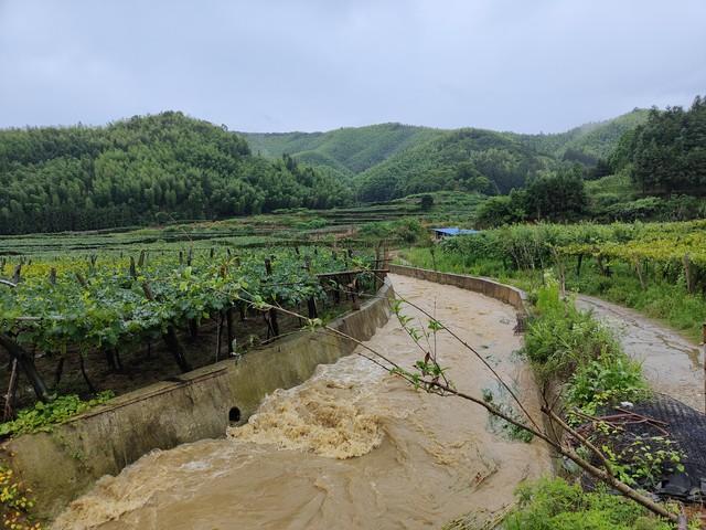 “今年还要旱多久，就看四月十一”，四月十一，下雨有啥预兆？