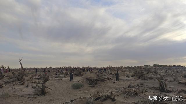 2025国庆西北自驾游（3）：黑城弱水胡杨风景区