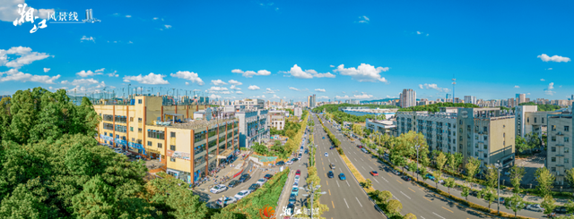 这样的桐梓坡，你一定没见过！