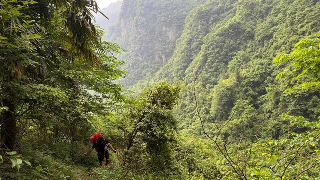 湖南天门山：一场逃离喧嚣的山野之约