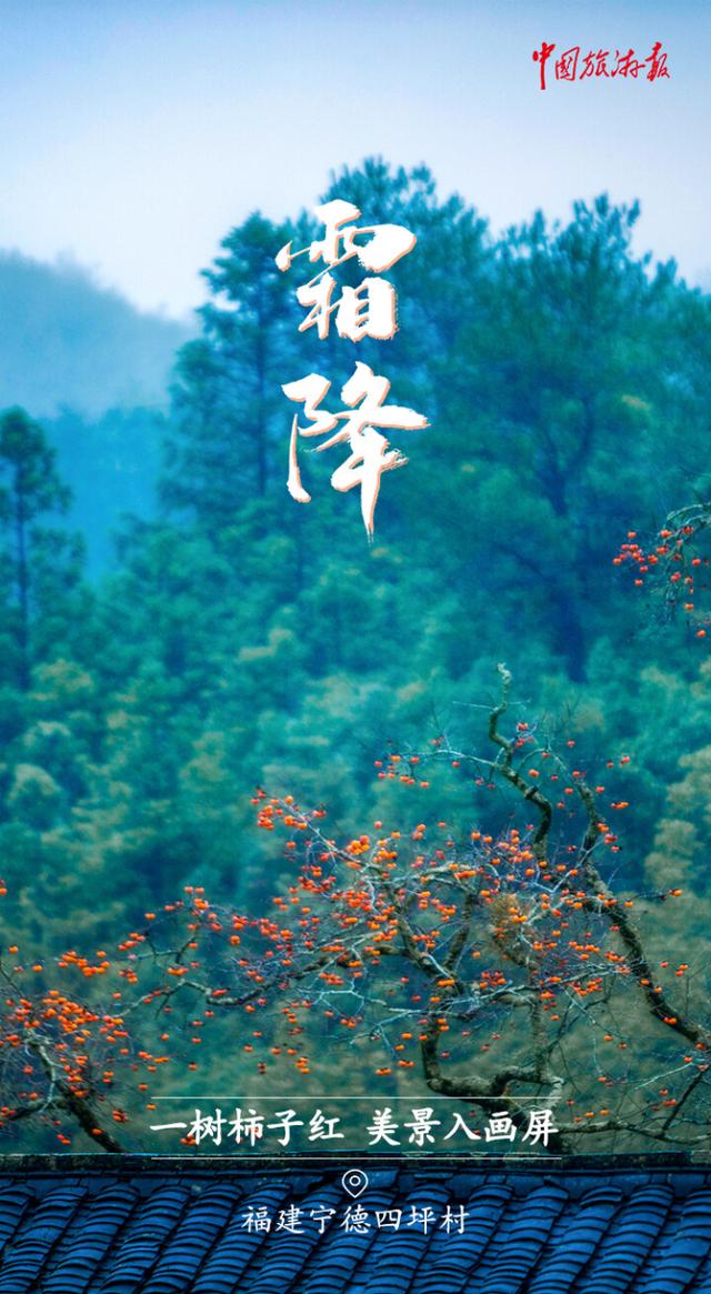 霜降丨收尽秋光惊艳色 静候冬日好时光