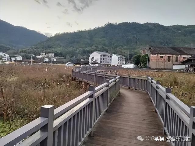 泰顺二日行，解锁浙南山水里的诗意秘境和古村风情！值得推荐分享