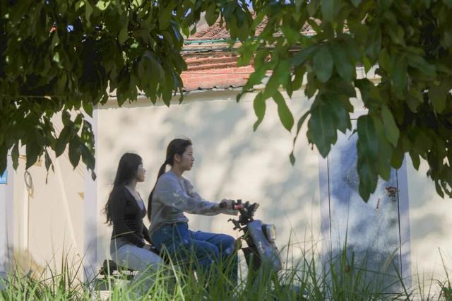 速来打卡！东莞万江这个新晋网红地：“起龙文化+生态美景”