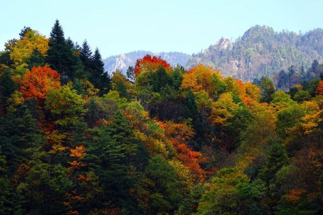 太洋公路已通车！去黄柏塬赏秋现在就出发！