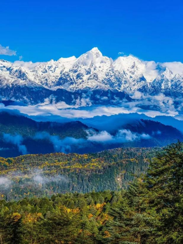 “秋假”开耍！带着小宝来雅安准没错！