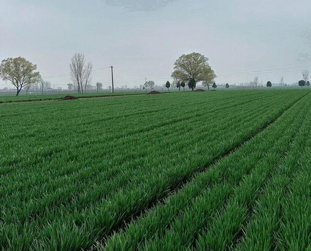 今冬最冷时间表已落定，何时最冷？2026年春节冷不冷？了解一下！