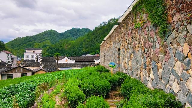 皖浙摩旅二人转——松阳石仓古民居篇（2）