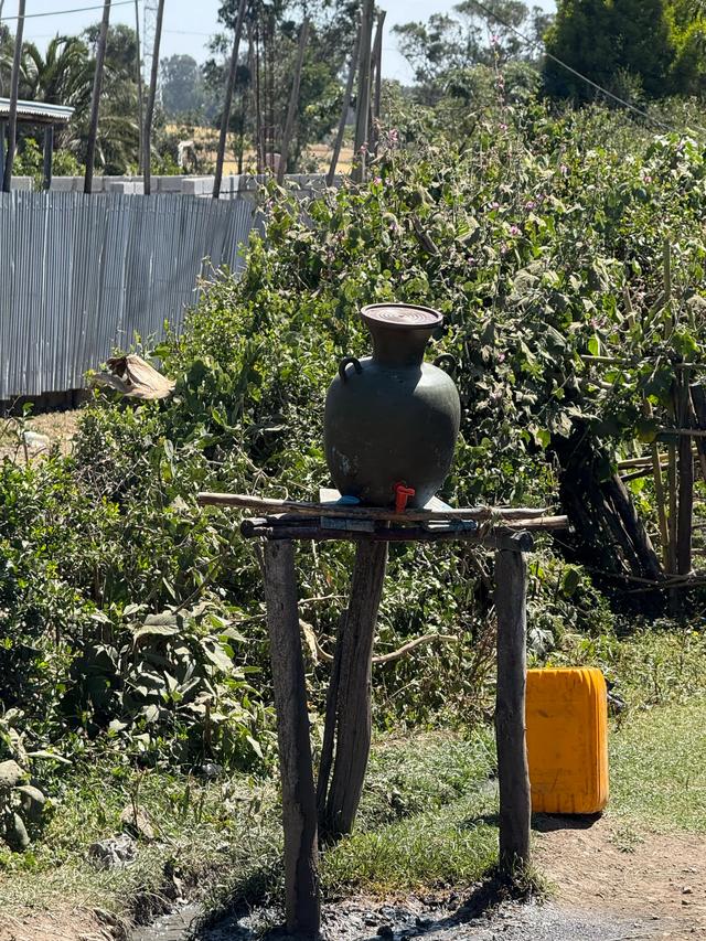 【联合国特别大师】人类祖先露西与世界选美