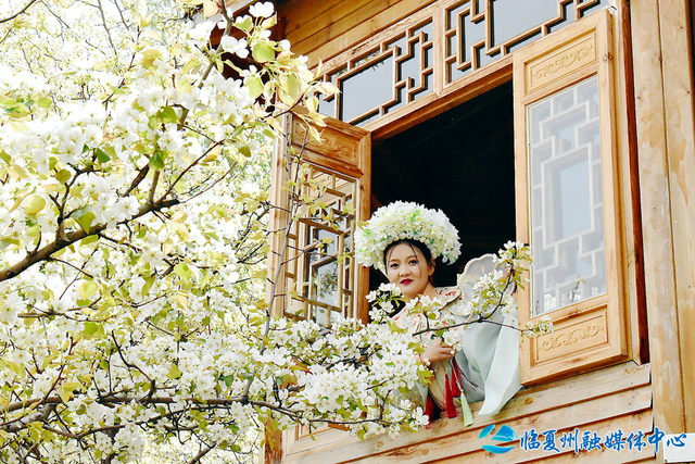 解锁远古生命密码 开启文旅融合新篇章——和政县文旅产业融合发展综述