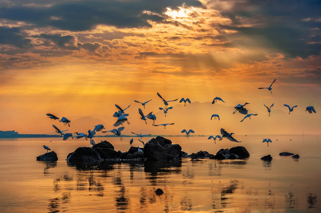 三月福田，不止“一节一会”！沙头的惊喜，等你来发现！