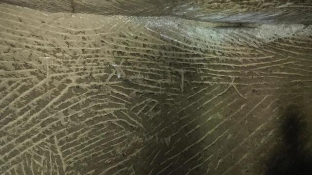 重庆大学城深山发现一排蛮子洞，内部有古人留下的文字和生活痕迹