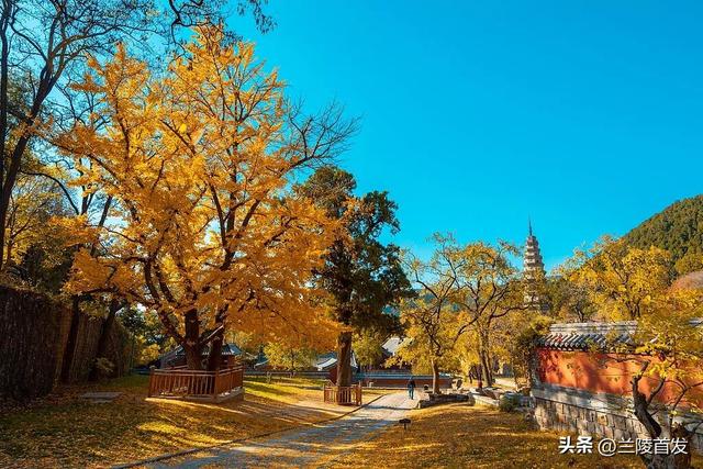 动画照进现实！这个假期，奔赴电影同款取景地~