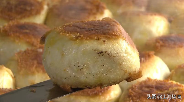 杨浦这些景点“限时优惠”，你去过几家？