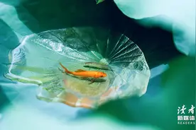 结婚前，无论对方多温柔体贴，家底多厚，都要记得问清楚这3个问题图片