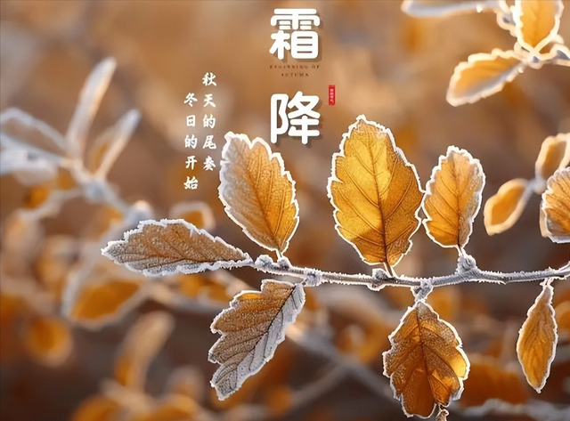 “上午霜降冻死牛，下午霜降暖烘烘”，今年冬天会很冷吗？