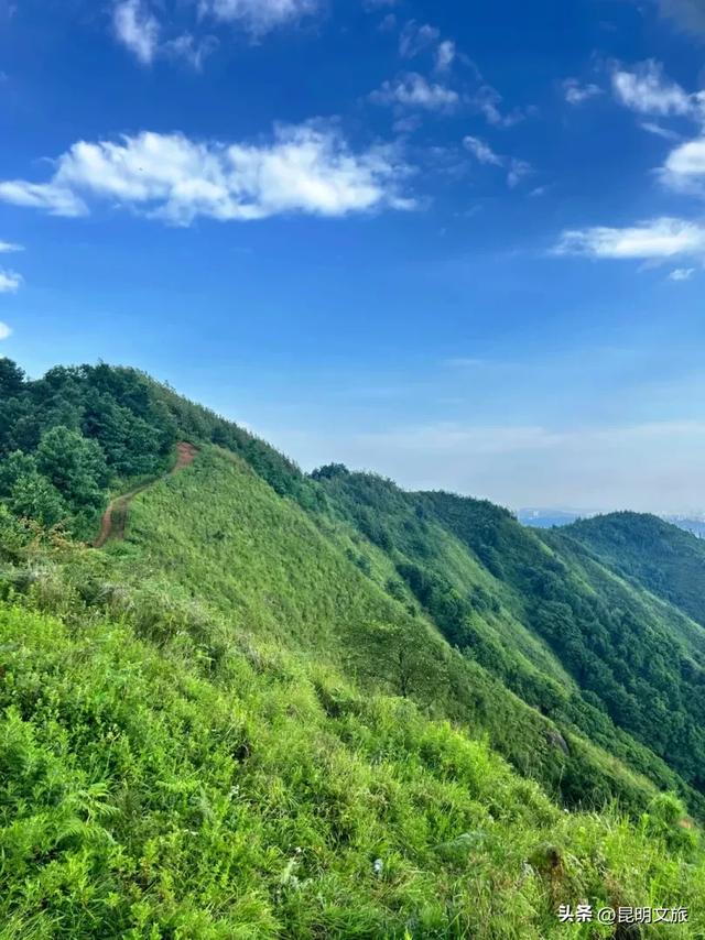 来一场短暂的城市逃离!盘龙这些登高好去处你知道吗?