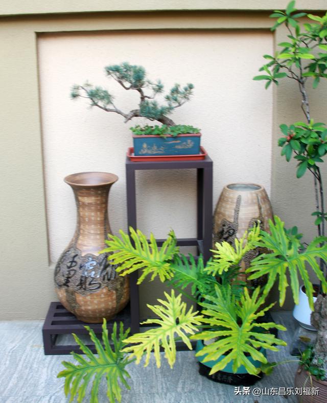 卡纳圣菲的“城墙”·及其它