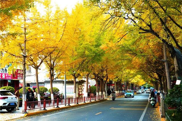 天水“黄金大道”即将上线！今年有这些亮点→