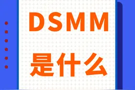 DSMM是什么图片