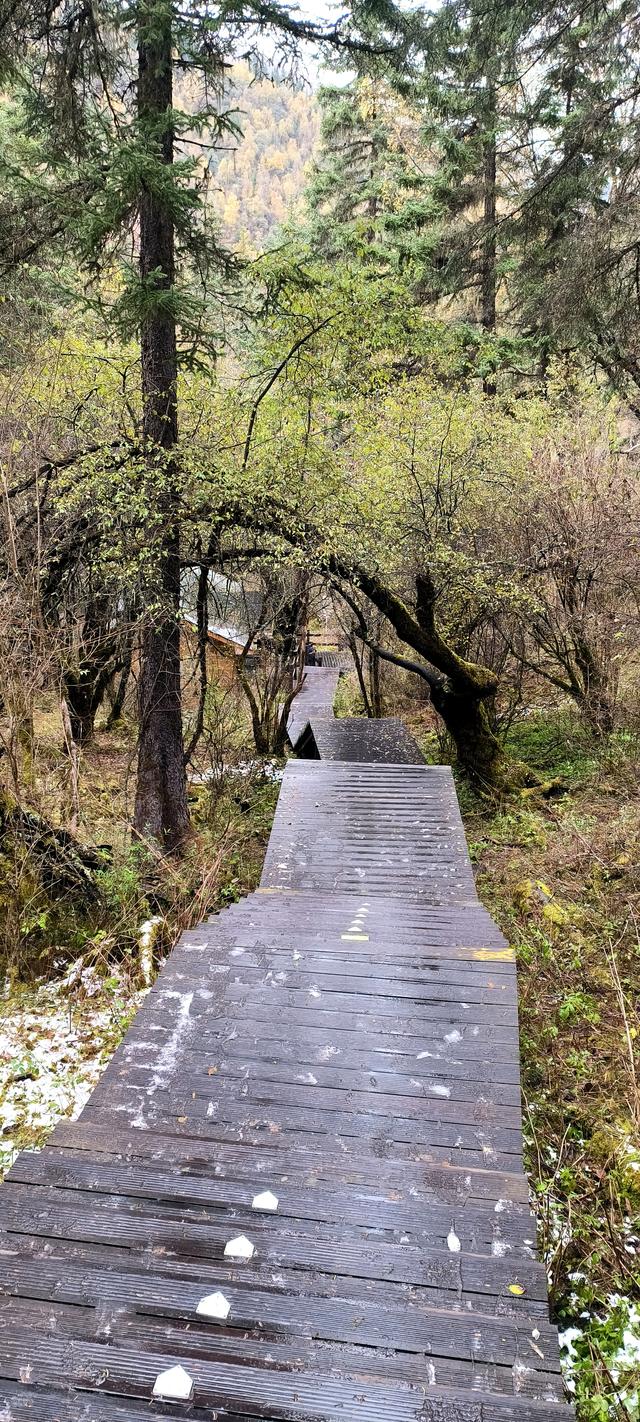 神仙池（一）竖幅