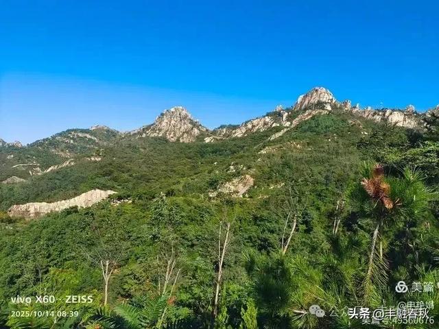 浮山漫记：藏在青岛城央的自然诗篇｜申艳娟