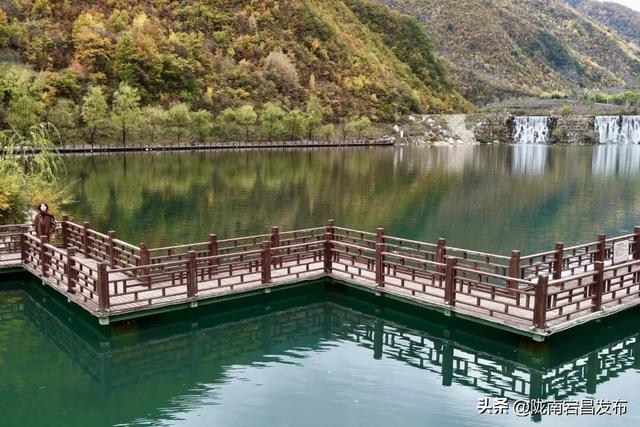 秋辞官鹅：一季斑斓入岁华