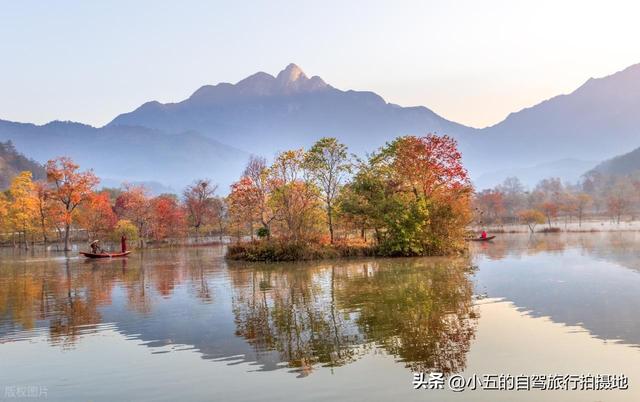 富阳秋季自驾攻略：66KM 赏银杏乌桕，2025 杏会路线全落地