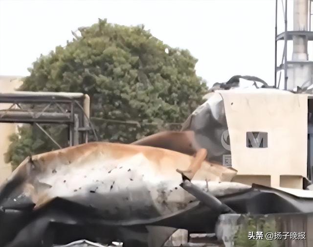 公开枪决！18名受雇于联合国人员被以“间谍罪”判处死刑，涉美、以、沙特情报部门