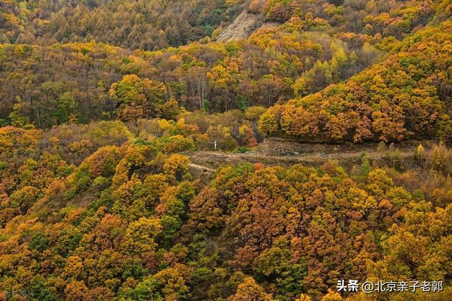 北平深秋寻幽 六处小众秘境
