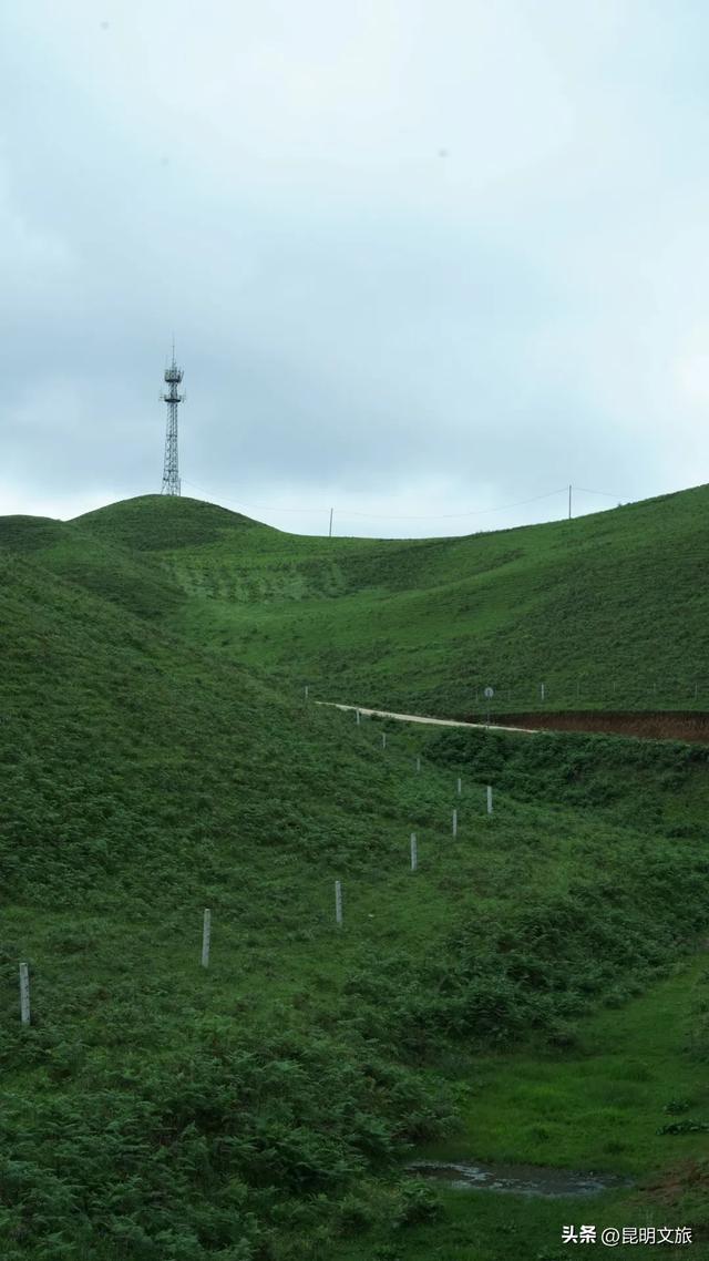 草原+蓝天,每一帧都是壁纸!昆明这个地方能给你的,是“阿勒泰”生活的100种可能!