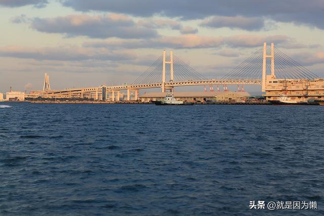 相机基本知识#7：测光
