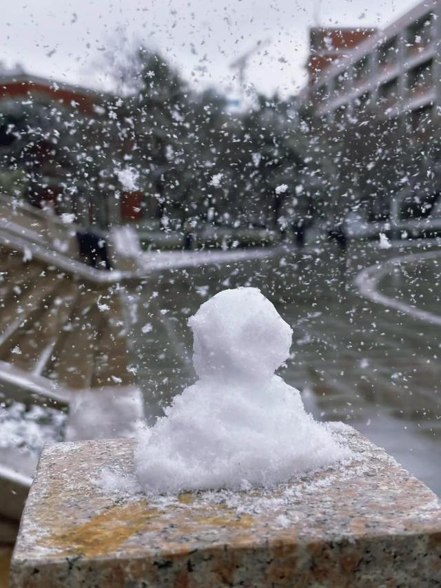 难得一见的初雪，把家门口变成诗和远方，这就是冬日的小美好