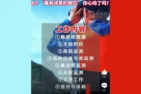 浙江海岛招聘守鸟人300元1天图片