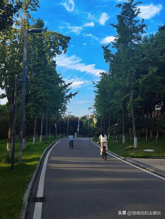 长沙南城遛娃，就爱这条免费清凉路线！