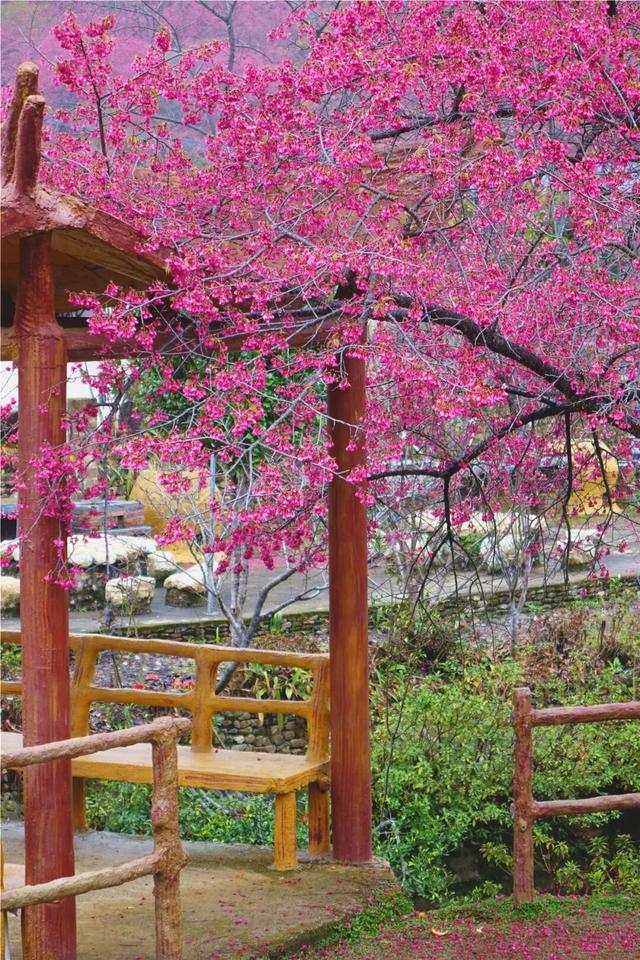 美如仙境！韶关这个地方迎来今年首场冰挂雾凇景观，秋冬来旅行，赏雪泡泉看红枫为你安排好了