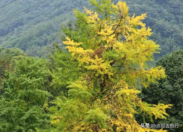 成都4大赏秋超美村庄，其中一个被称为成都小丹巴，都不要门票！