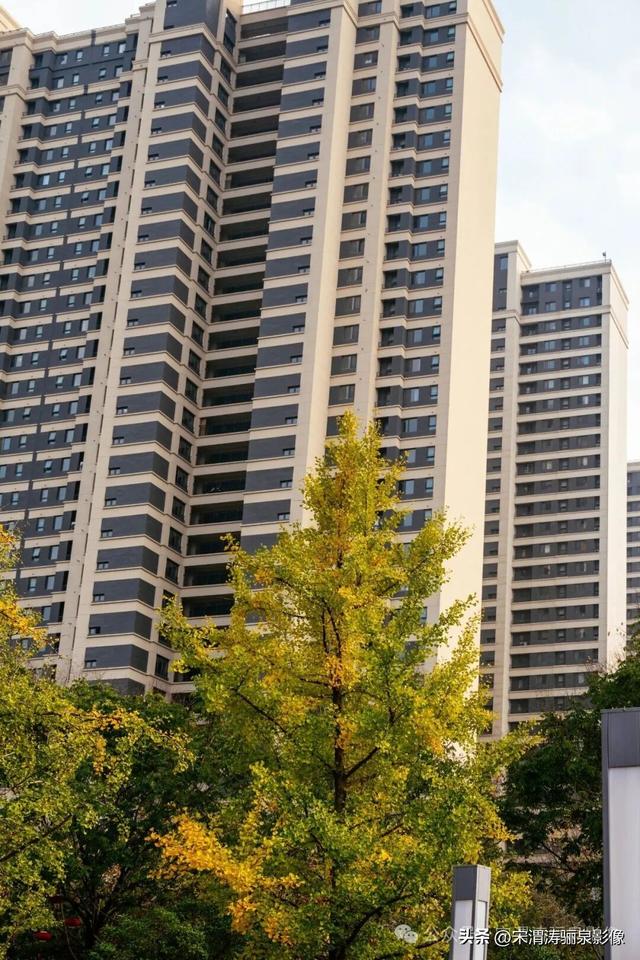 陕西渭南：天晴了 高新区时代广场秋色盎然