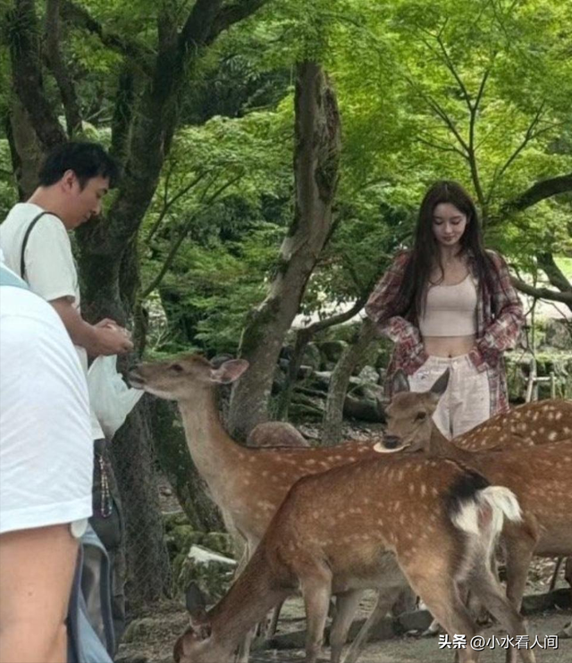 牡丹花下死，做鬼也风流！37岁“纵欲过度”的王思聪，再陷大丑闻