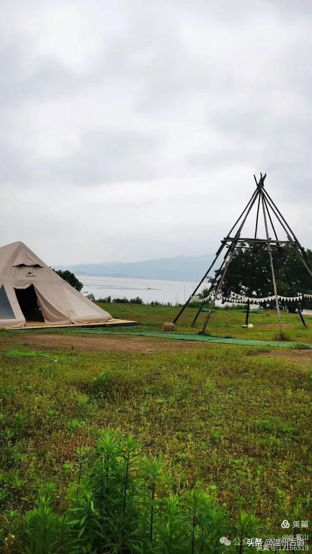 浙江这个山海古村，处在网红风景线上，丛林秘境中藏着一片花海