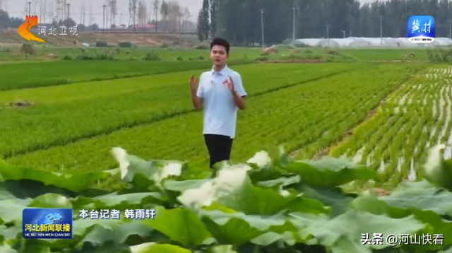 沿着河湖看河北 | ⑤ 滏阳河：清流绕城 生态富民
