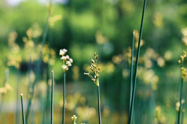 我发现了拯救焦虑情绪的好方法！一定要走出去