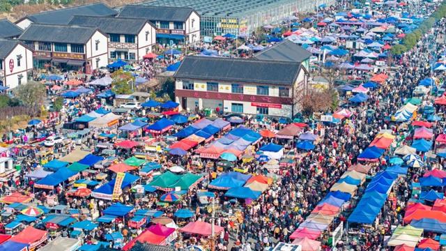 滁州，春节档赢麻了！