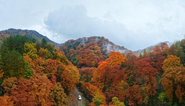 日均2万人次！广元旺苍米仓山红叶迎来了最佳观赏期